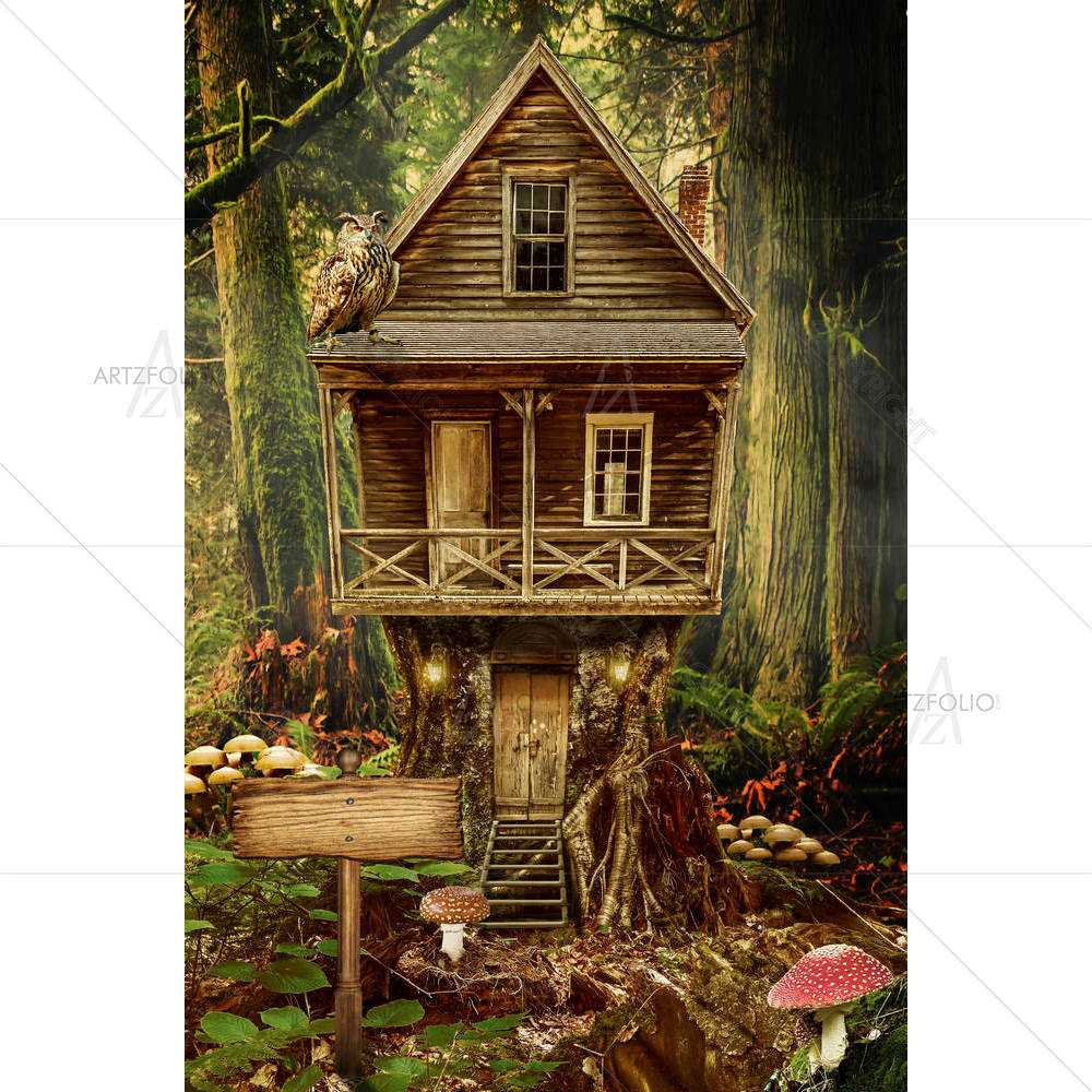 Fairy House D4 — custom-size art design 5004347