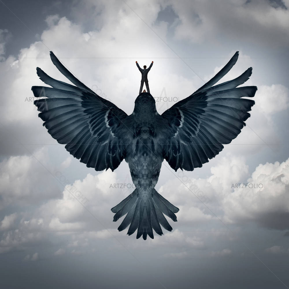 Man Riding An Open Wing Bird — Birds custom art by ArtzFolio