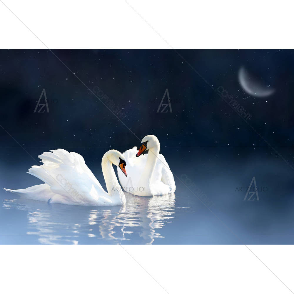 Swan Couple In Lake — custom-size art design 5004366