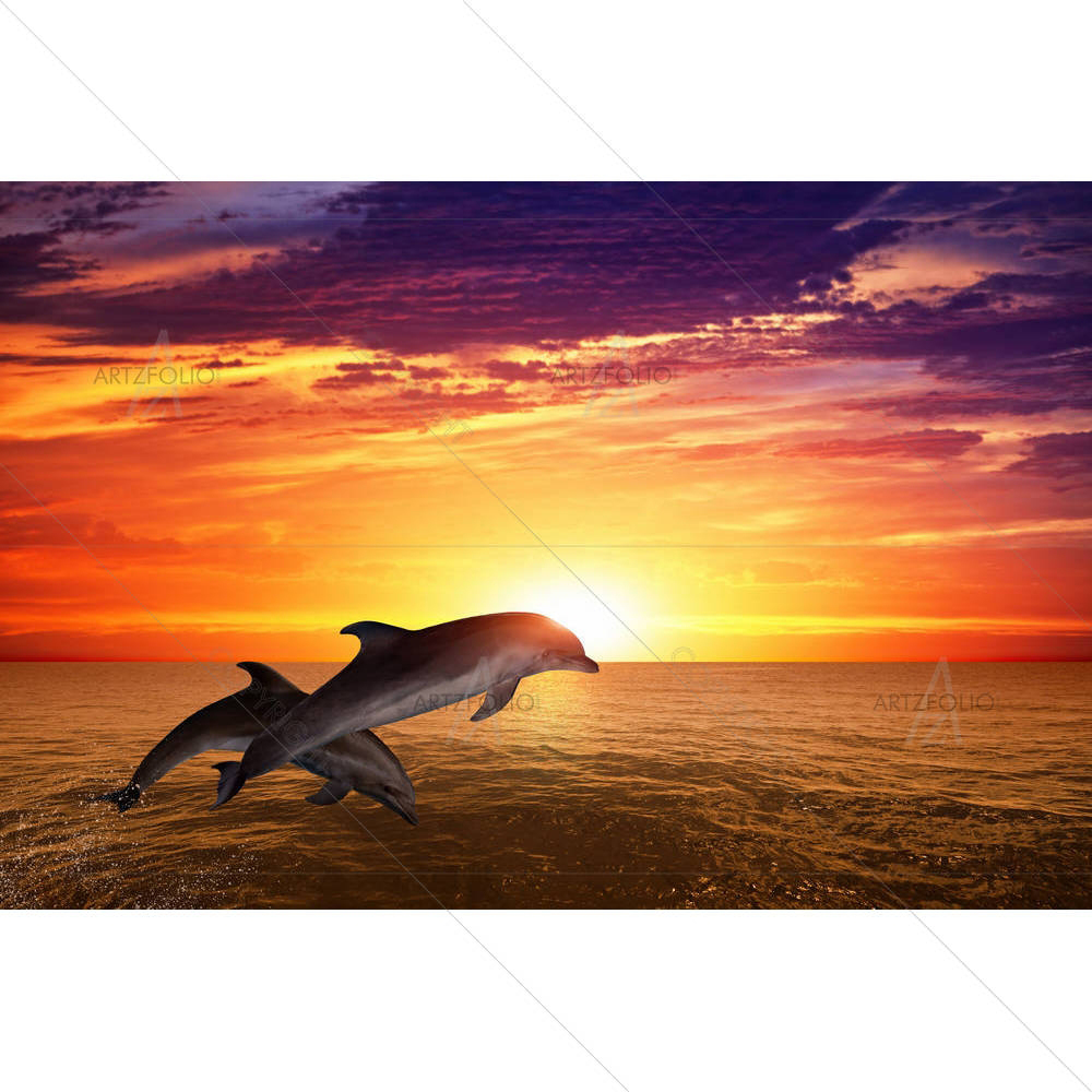 Marine Life — Animals custom art by ArtzFolio