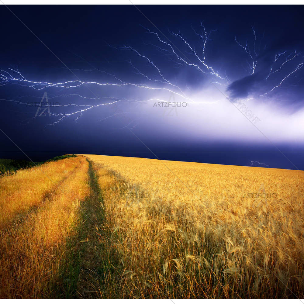Summer Storm D2 — Botanical custom art by ArtzFolio
