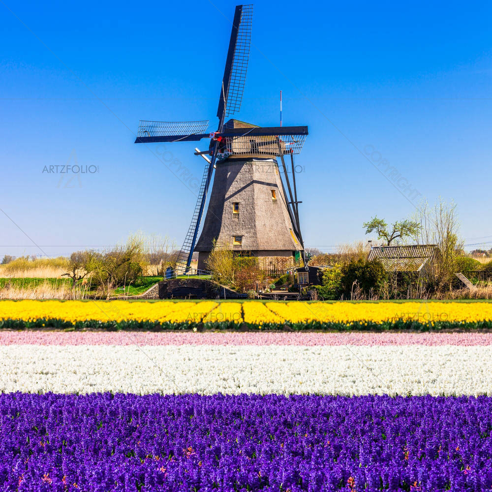 Holland Landscapes — custom-size art design 5004612