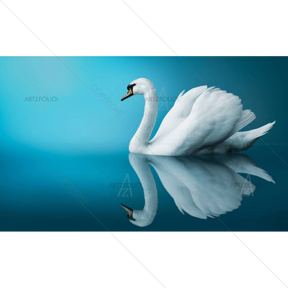 Fantastic Swan — custom-size art design 5004616