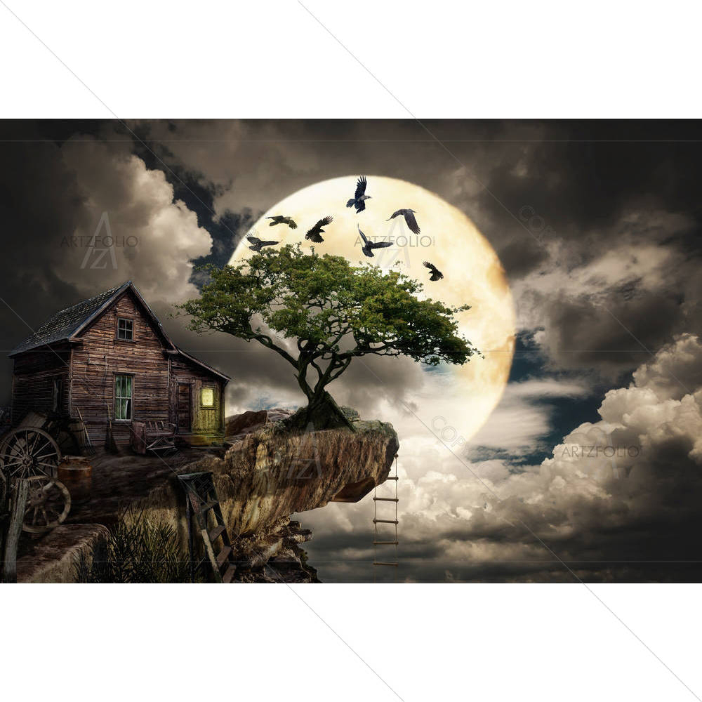Fairy House Cliff — custom-size art design 5004622