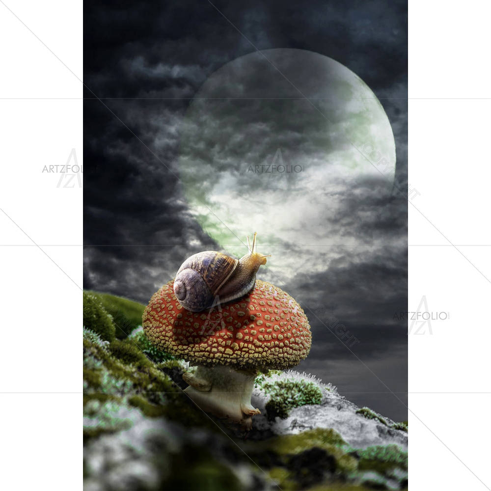 Fairy House D7 — Collages custom art by ArtzFolio