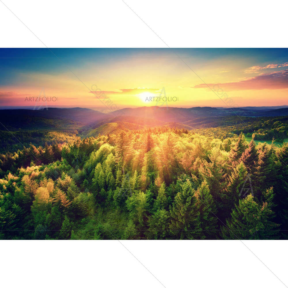 Sunset Over The Forest Hills — Botanical custom art by ArtzFolio