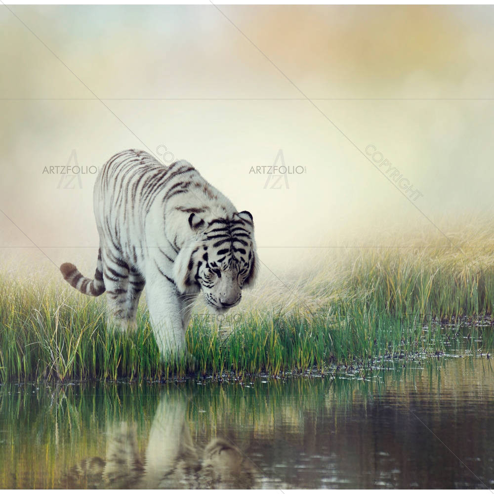 White Tiger Near A Pond — custom-size art design 5004705