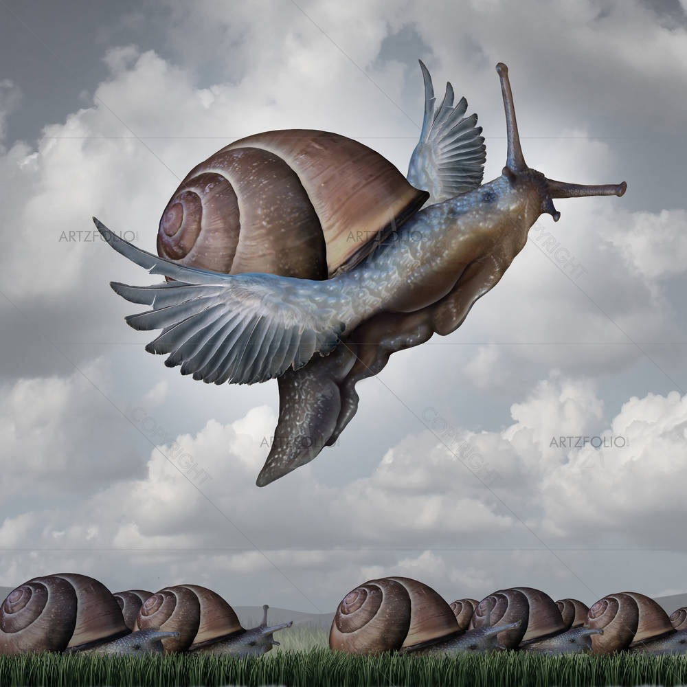 Surreal Crowd Of Snails — custom-size art design 5004743