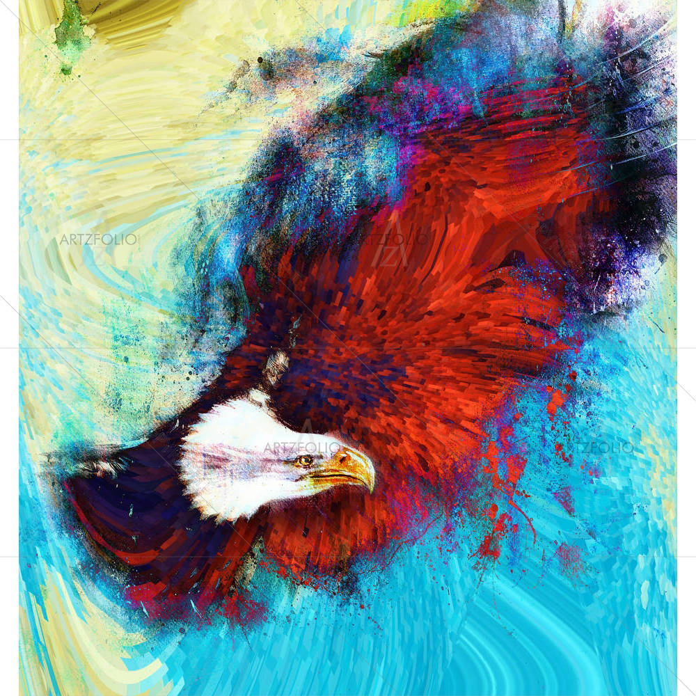 Eagle With Black Feathers US Symbols Freedom — custom-size art design 5004751
