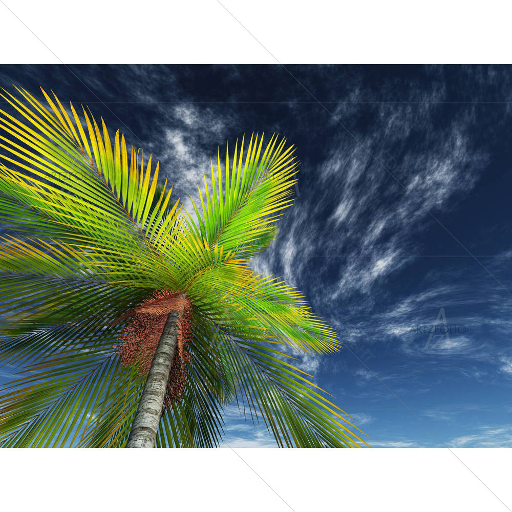 Palm Tree Towards The Sky — Automobiles custom art by ArtzFolio