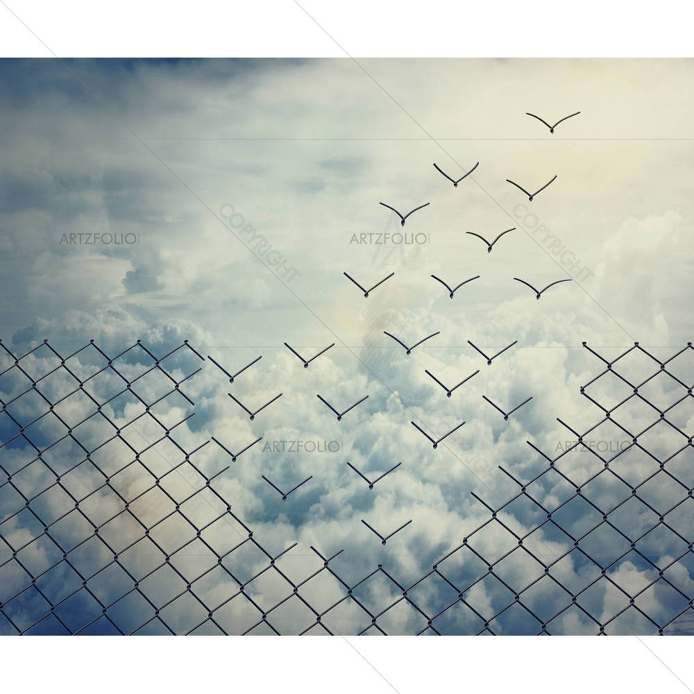 Flying Birds D1 — custom-size art design 5004953