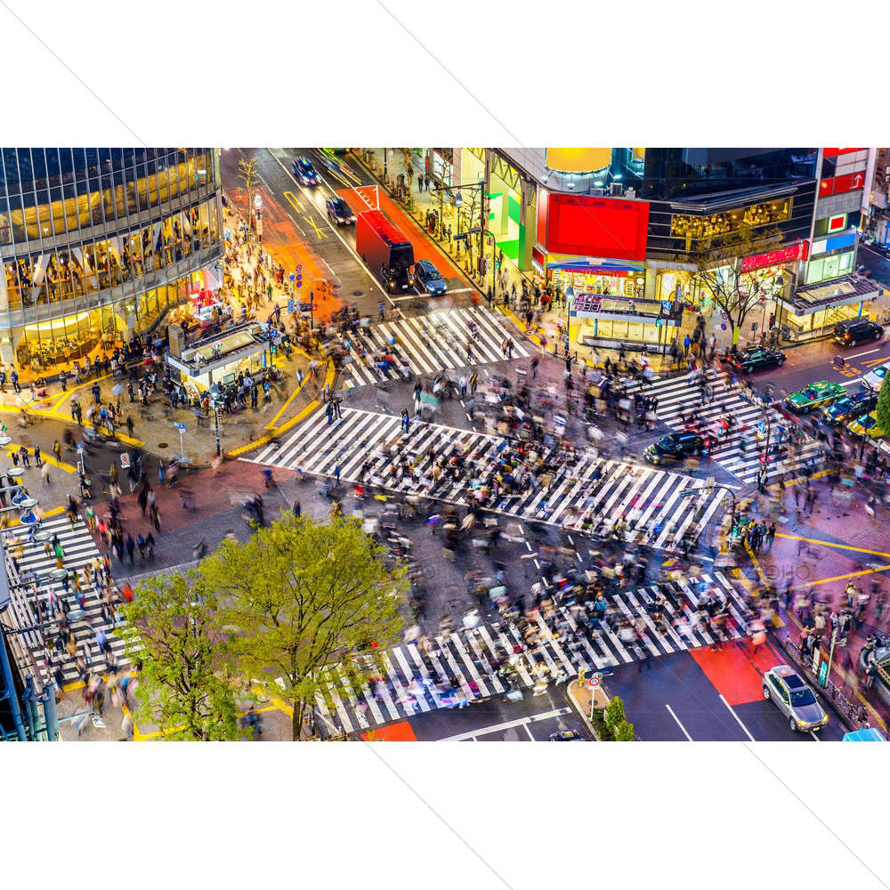 World's Busiest Shibuya Crossing, Tokyo Japan — custom-size art design 5004957