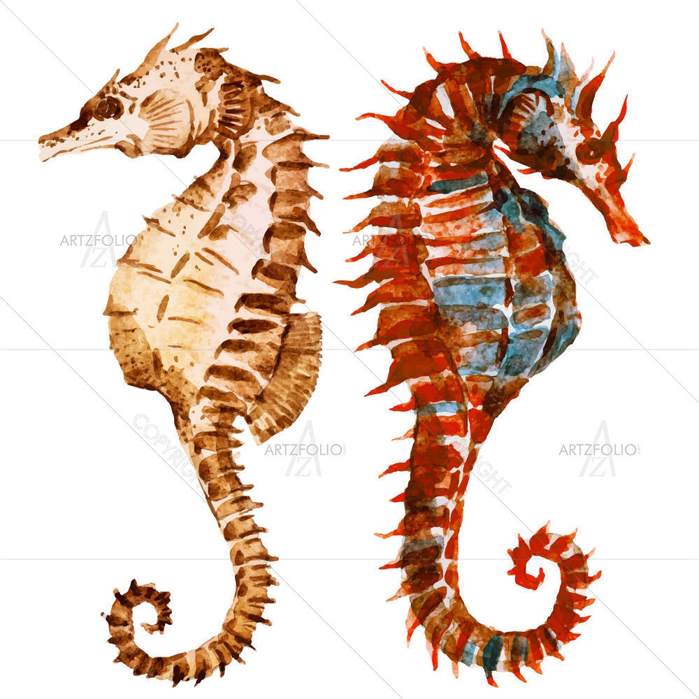 Seahorses D1 — Ancient custom art by ArtzFolio