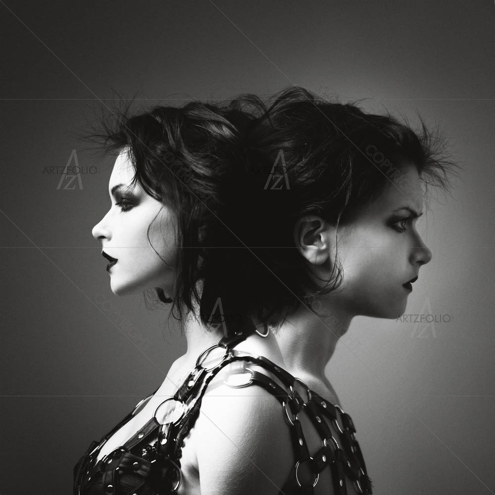 Two Faced Artwork — custom-size art design 5005044