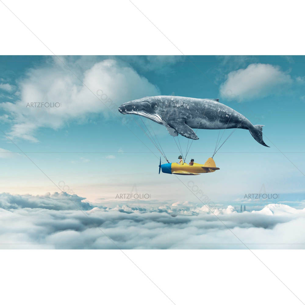 Take Me To The Dream D1 — custom-size art design 5005093