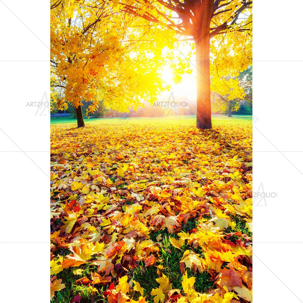Colorful Foliage — custom-size art design 5005143