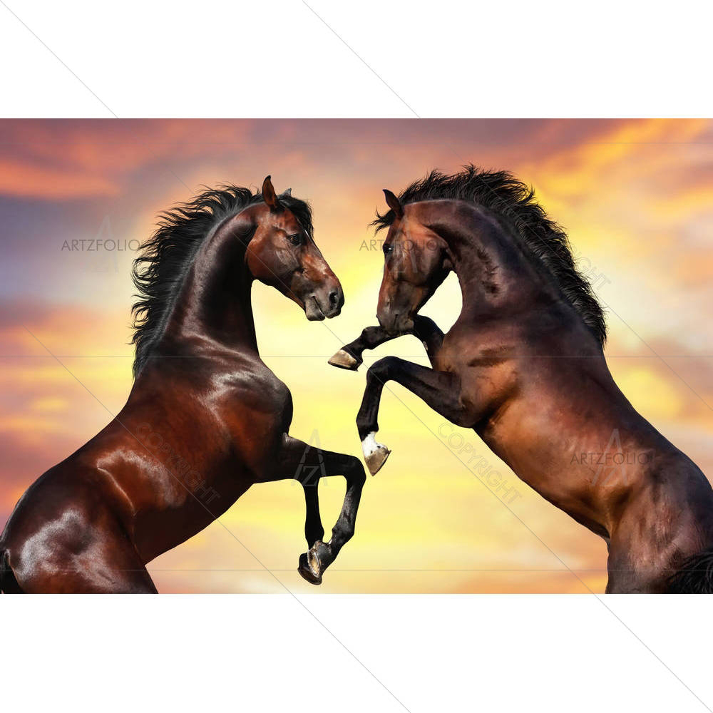 Two Bay Stallion With Long Mane — custom-size art design 5005147