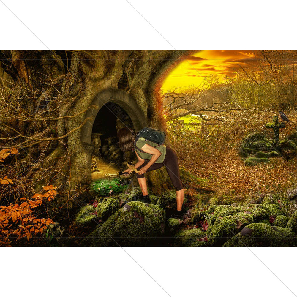 Girl In Fairy Forest D1 — custom-size art design 5005148