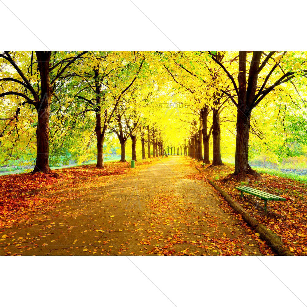 Autumn In City Park — custom-size art design 5005170