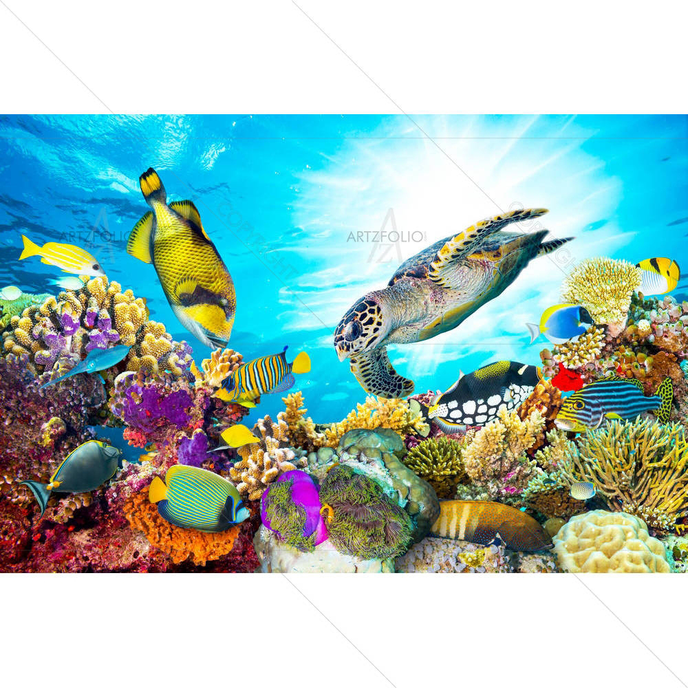 Coral Reef With Fishes & Sea Turtle — custom-size art design 5005180