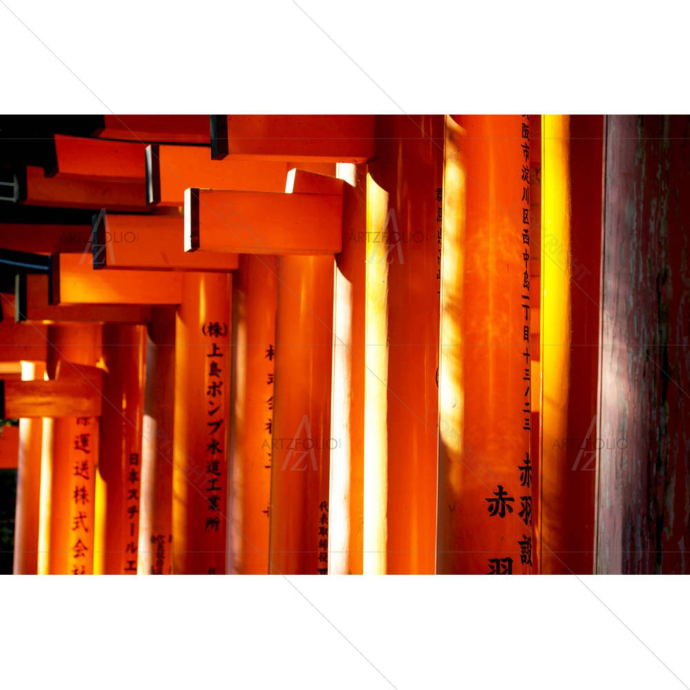 Torii Gates At Fushimi Inari Shrine In Kyoto Japan — custom-size art design 5005241