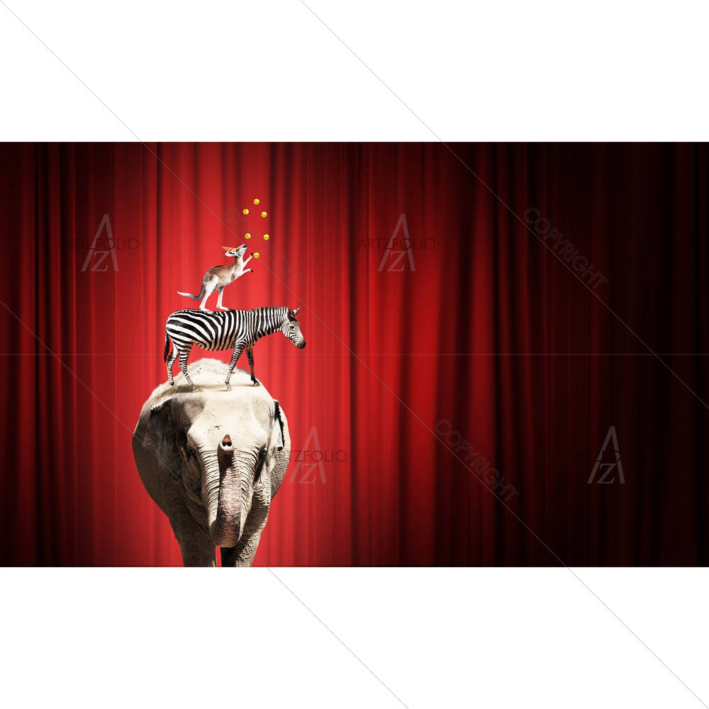 Circus Animals — custom-size art design 5005293