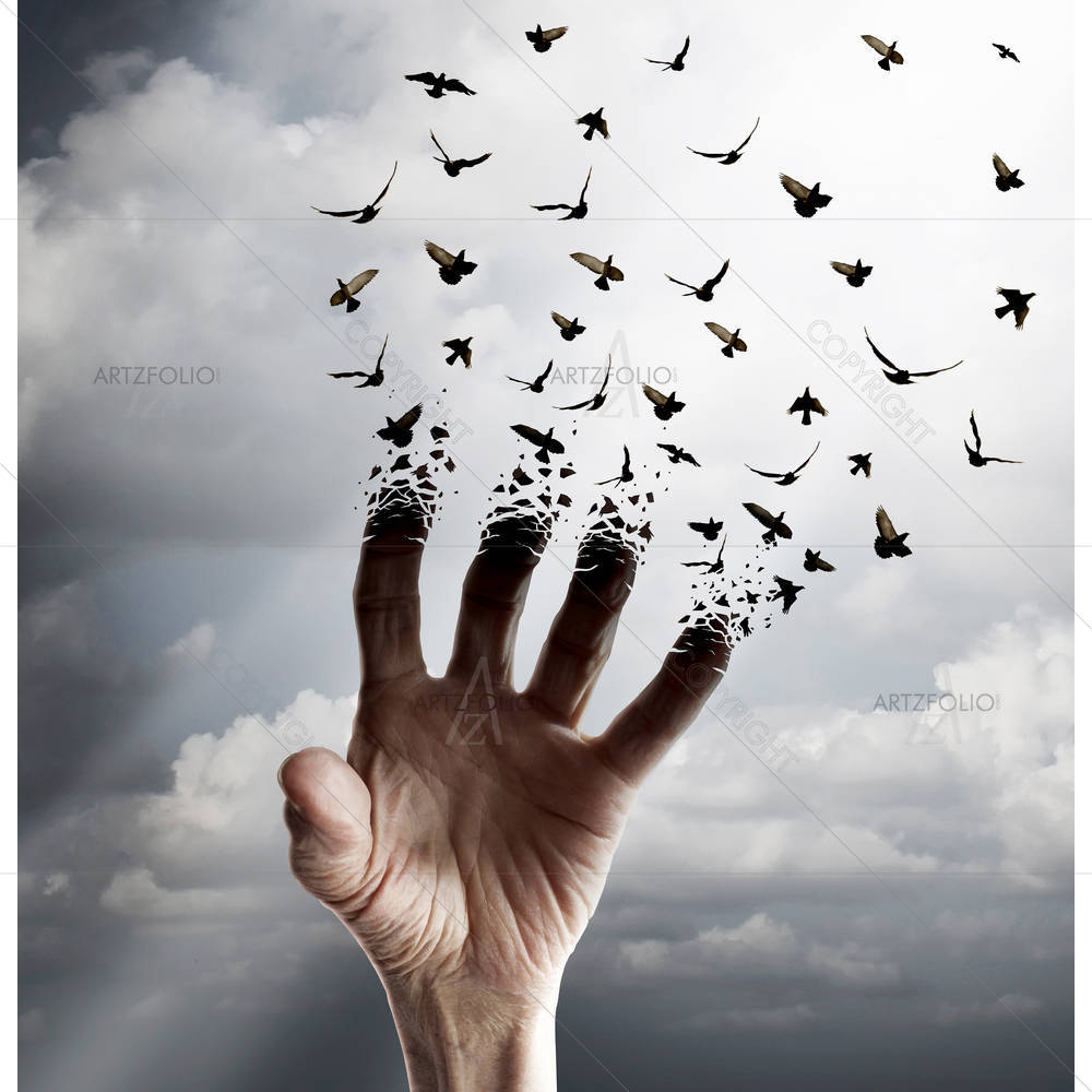 Flying Birds D2 — custom-size art design 5005450