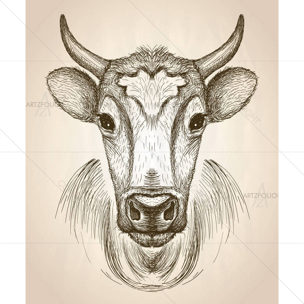 Cow Portrait — Portraits custom art by ArtzFolio