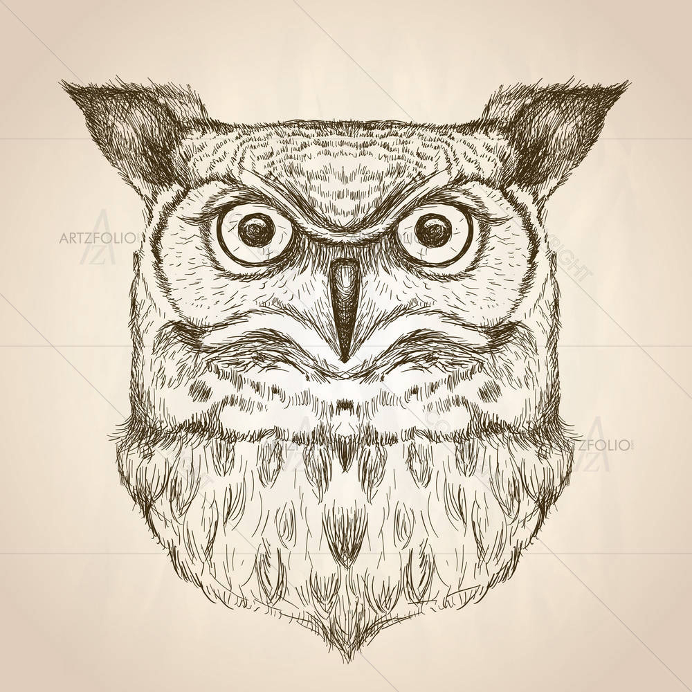 Owl Portrait D1 — custom-size art design 5005473