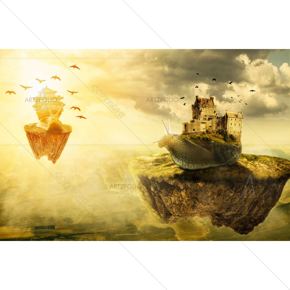 Wandering In The Space Of A Snail — custom-size art design 5005488