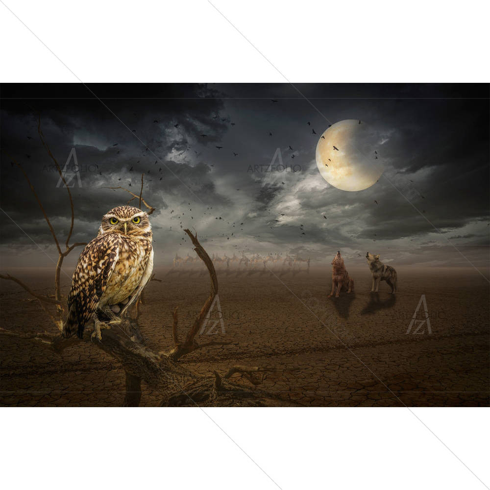 Owl On A Dead Branch In A Night Steppe — custom-size art design 5005490