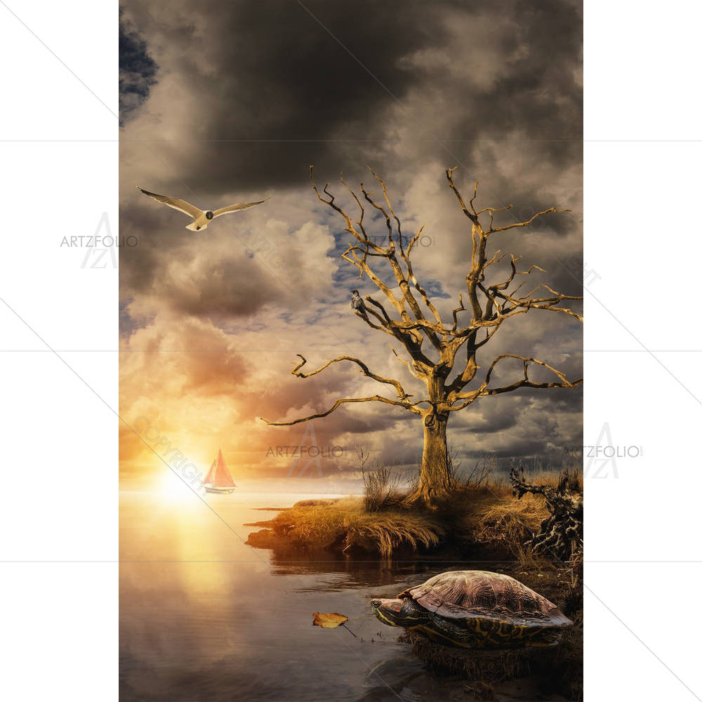 Old Turtle On The Shore — custom-size art design 5005492