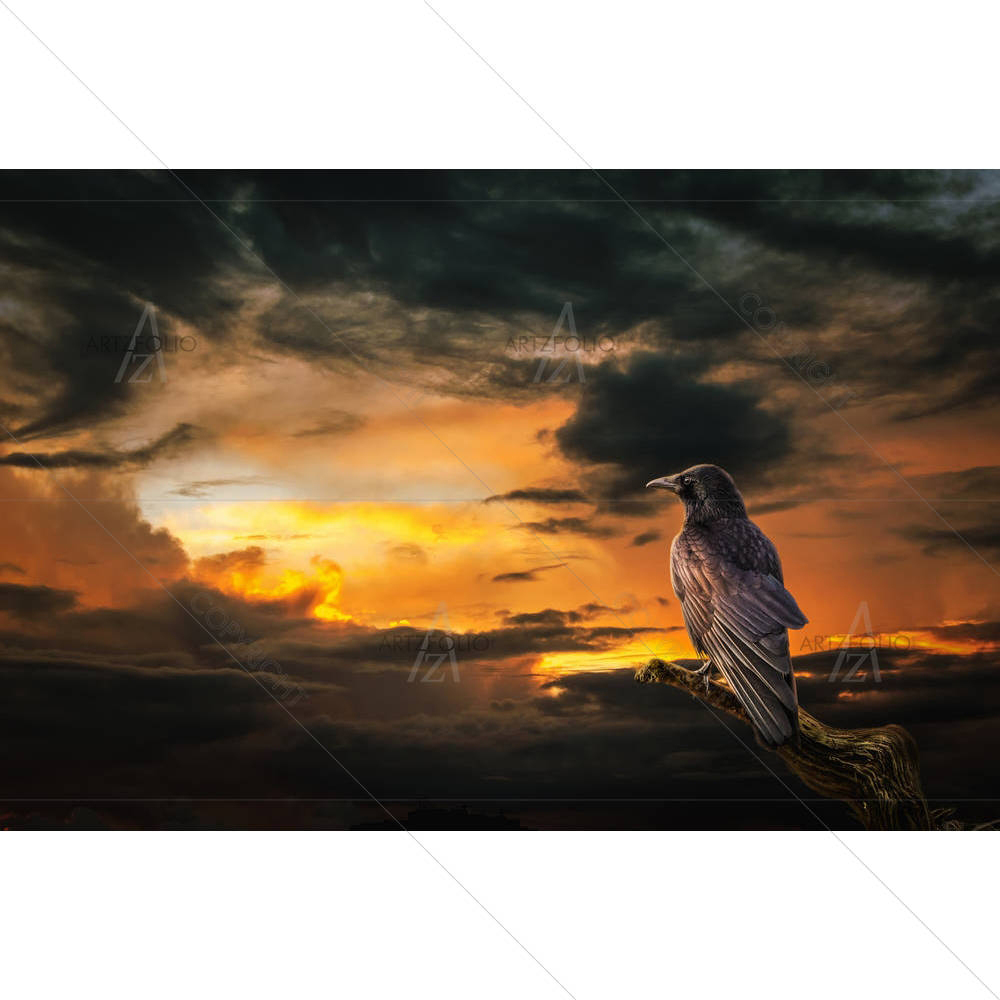 Raven On Stormy Sunset — custom-size art design 5005494