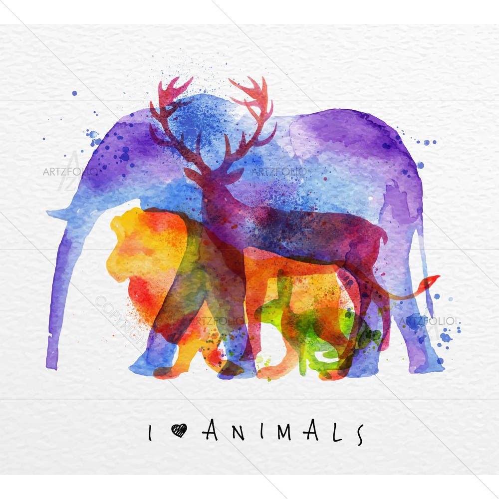 Color Animals D1 — custom-size art design 5005496