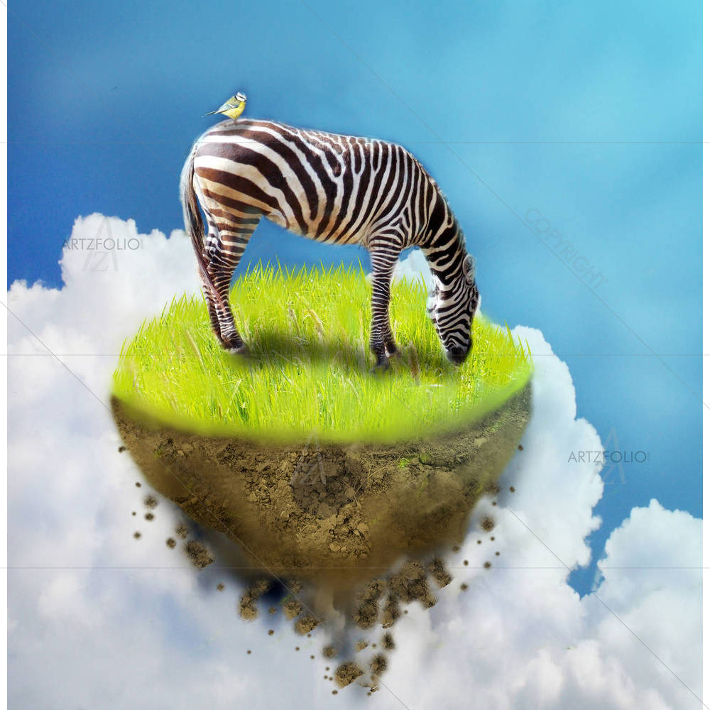 Grassing Zebra — custom-size art design 5005567