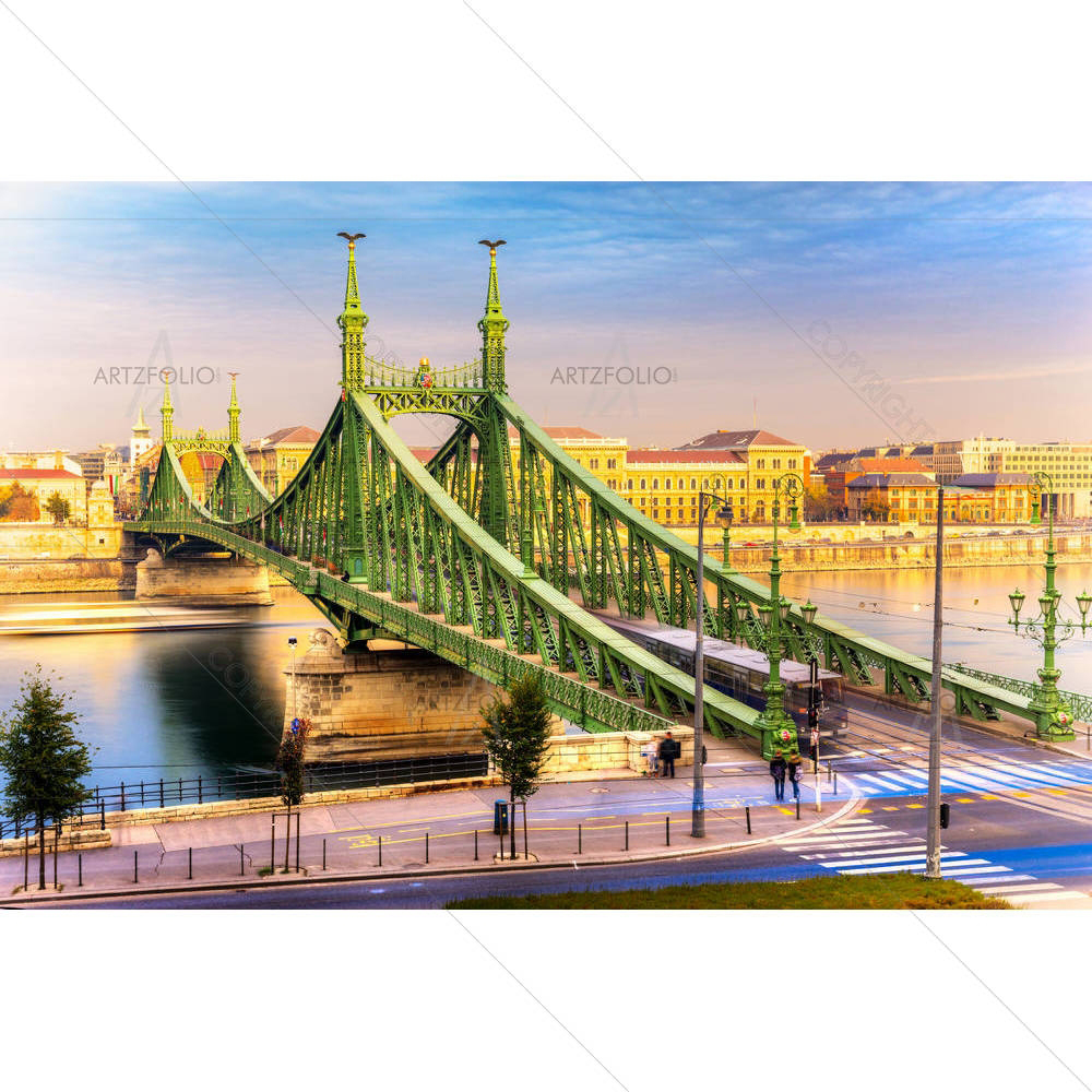 Budapest, Liberty Bridge, Hungary — custom-size art design 5005579