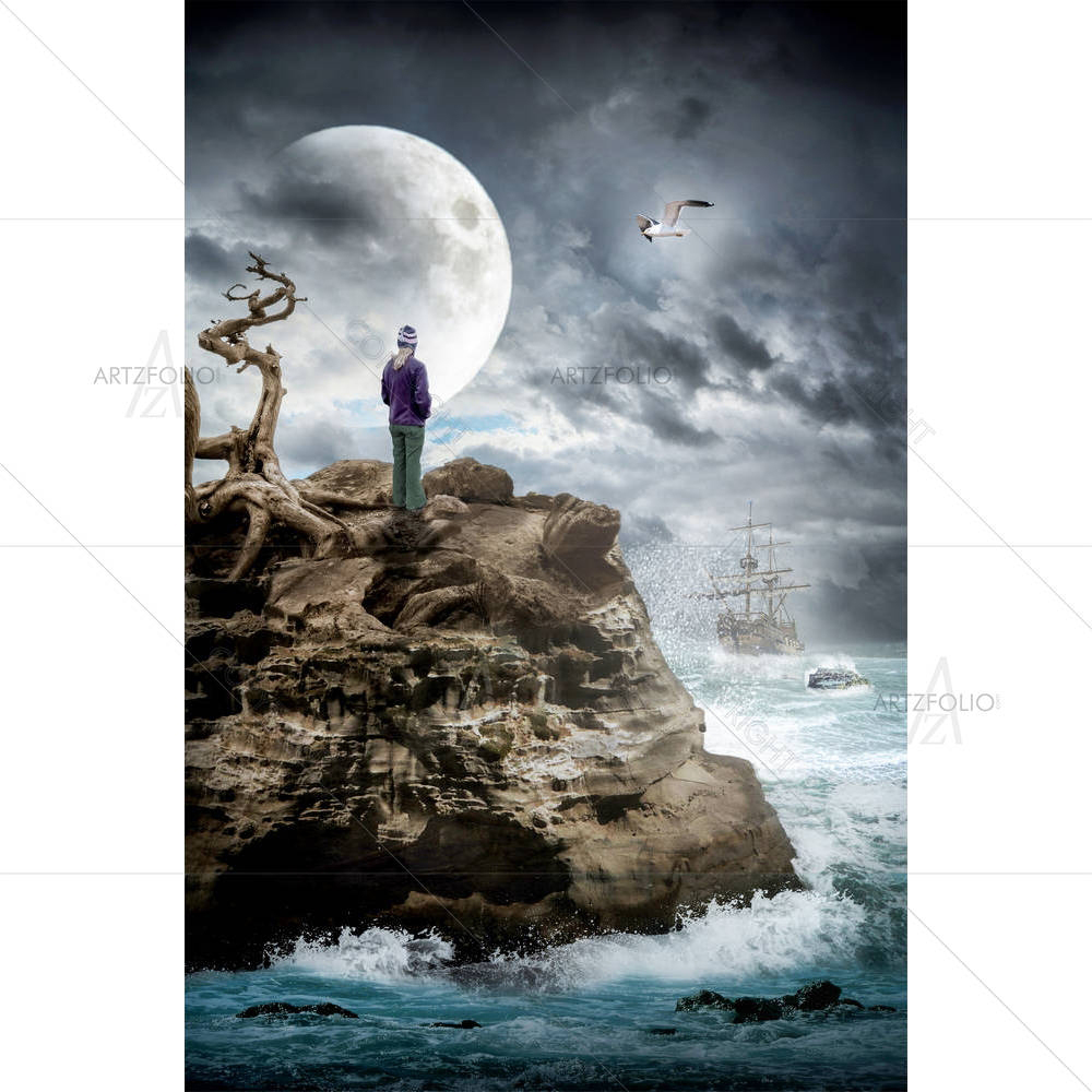 Lonely Girl On A Rock By The Sea In A Storm — custom-size art design 5005605