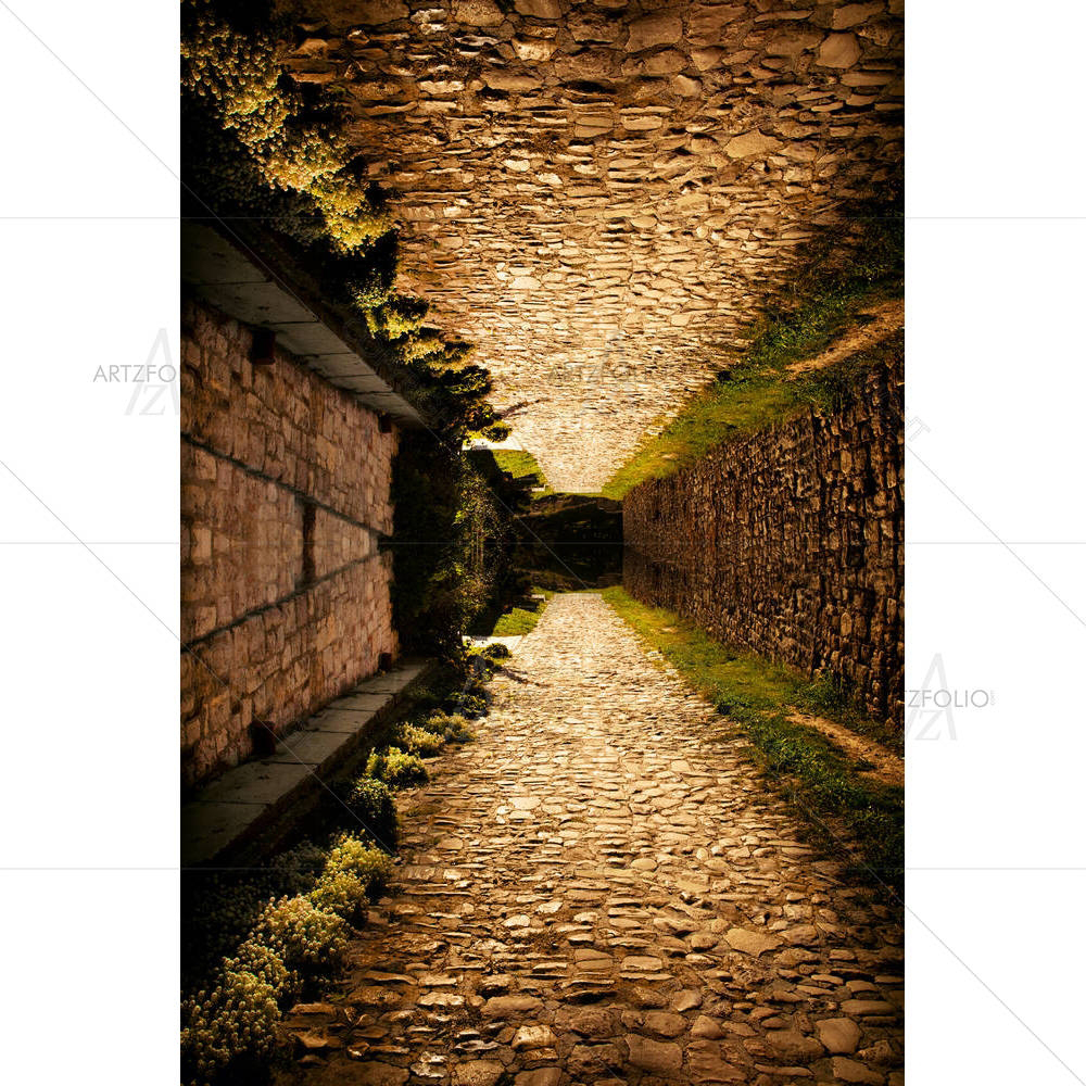 Cobble Path Up & Down — custom-size art design 5005616