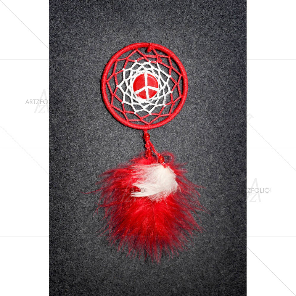 Dreamcatcher Art D2 — custom-size art design 5005639
