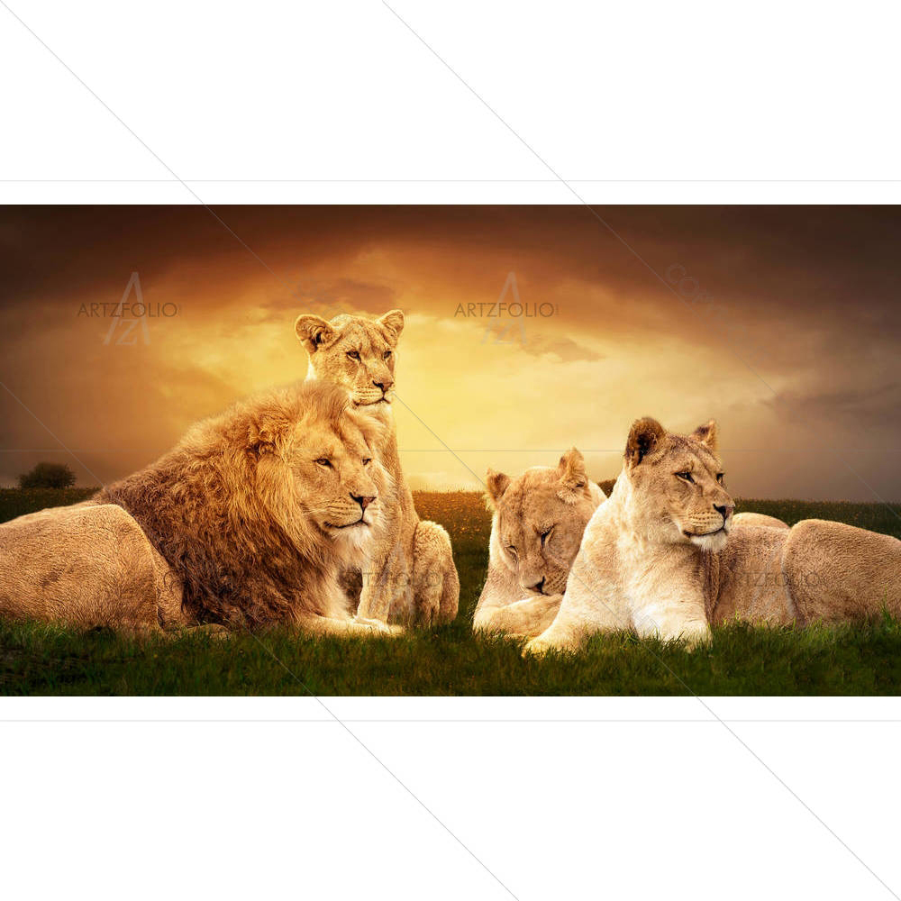 African Lions — custom-size art design 5005647