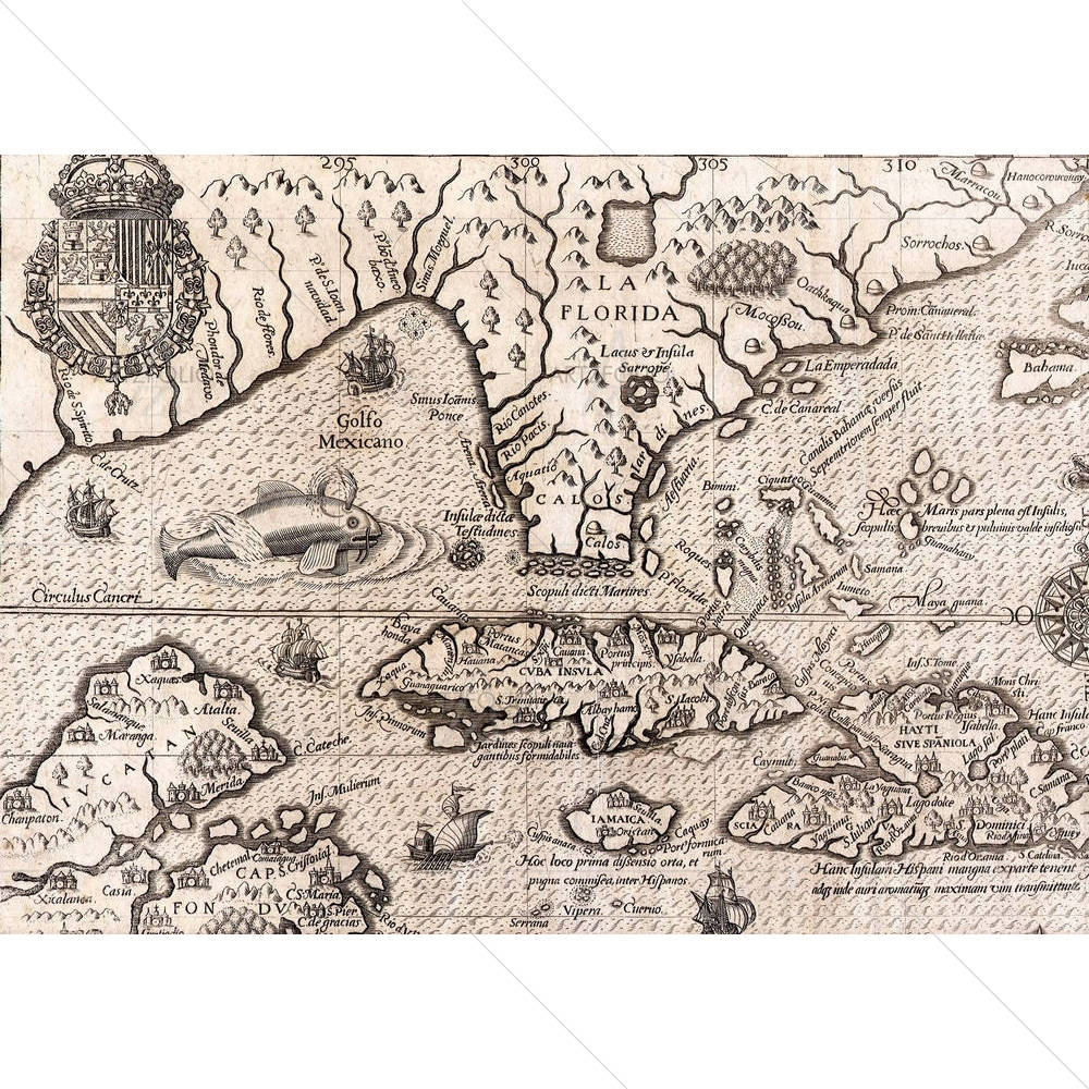 Antique Florida Map — custom-size art design 5005695