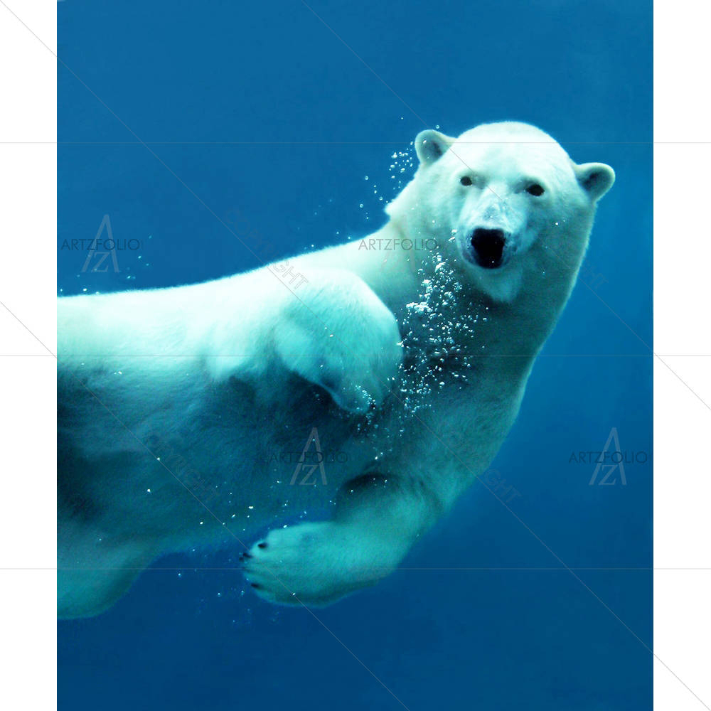 Polar Bear Underwater — custom-size art design 5005697