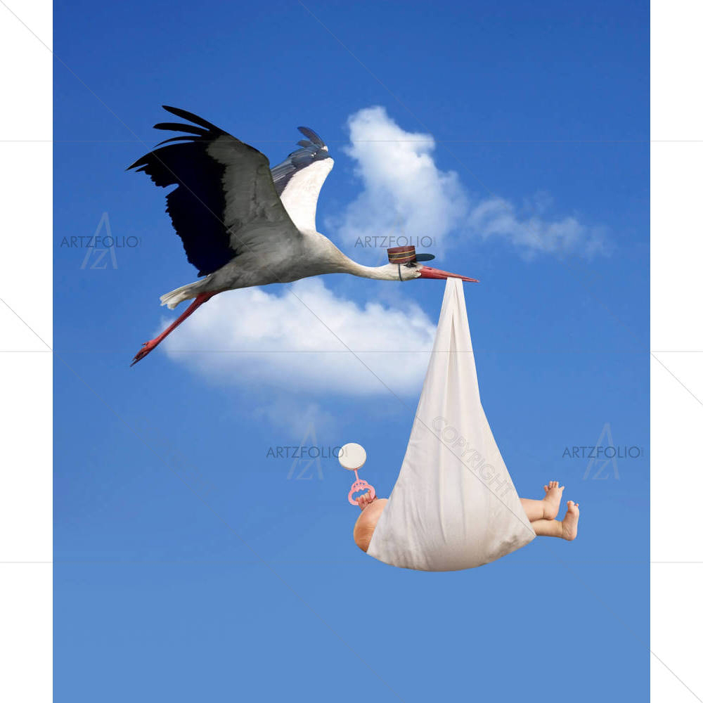 Stork in Flight Delivering Baby — Baby custom art by ArtzFolio