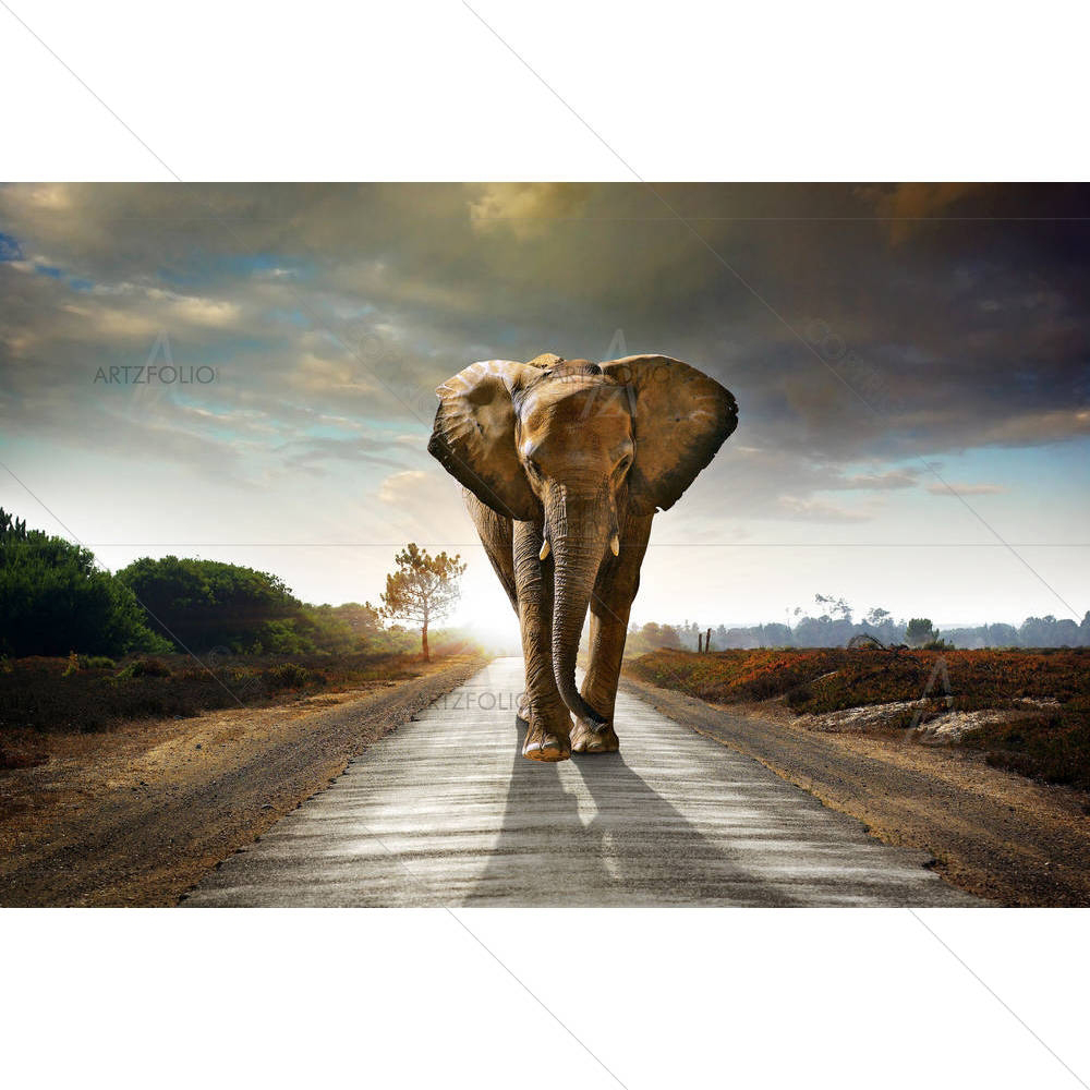 Elephant Walking on the Road — African custom art by ArtzFolio
