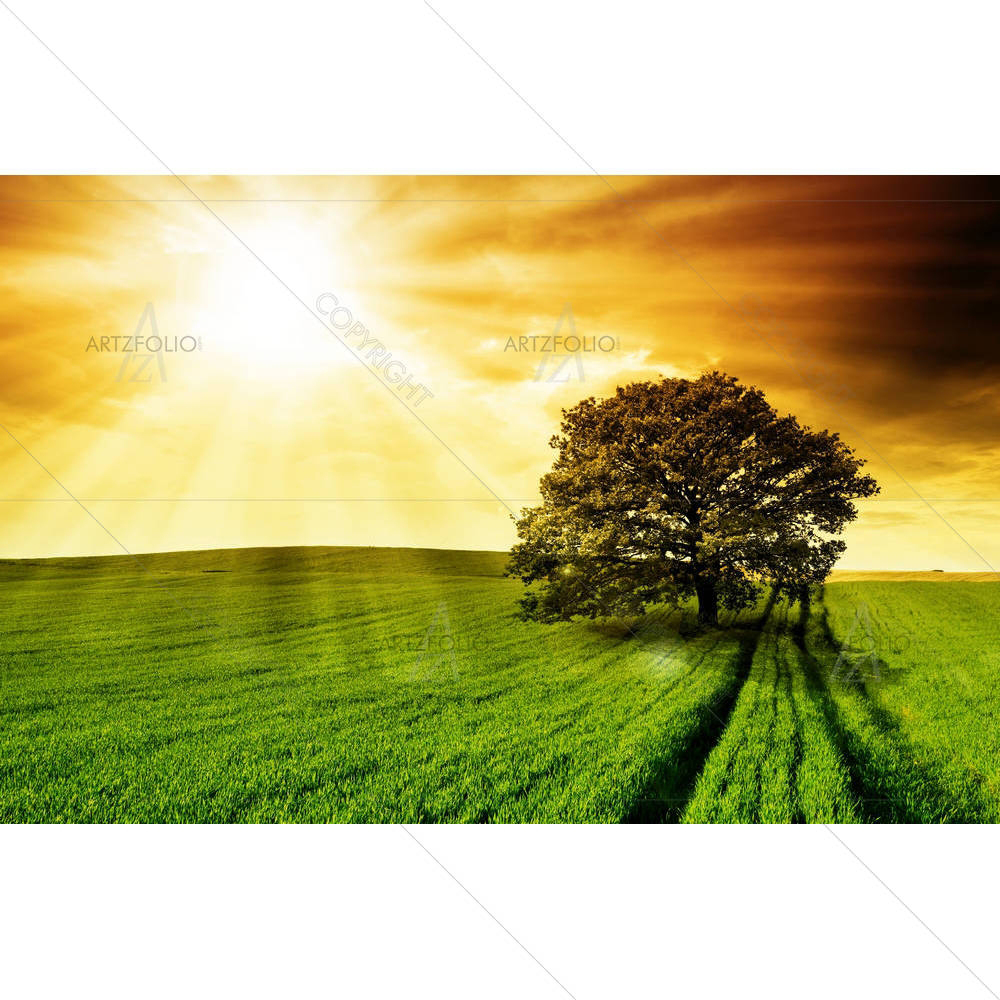 Lonely Tree — custom-size art design 5005738