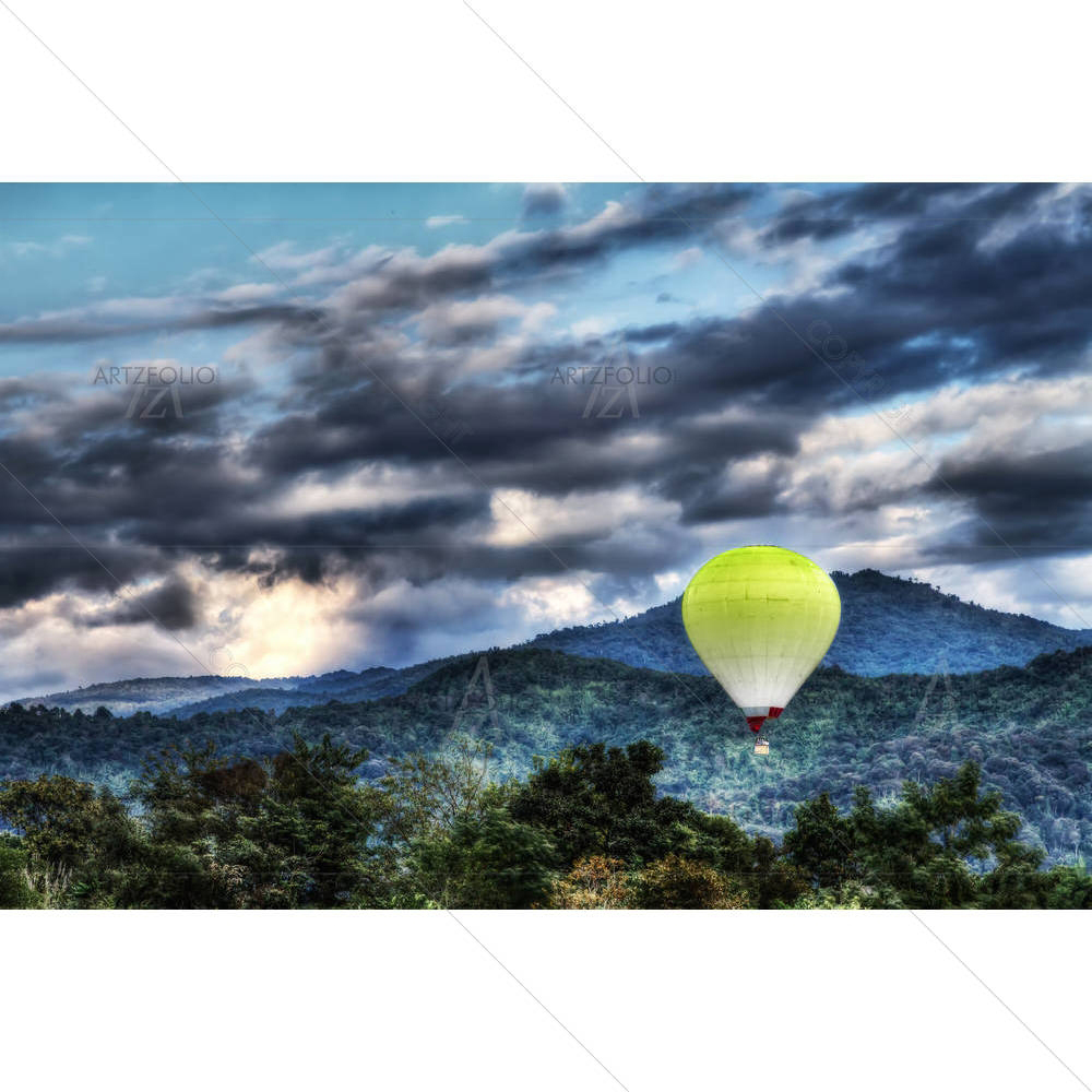 Balloon — custom-size art design 5005743