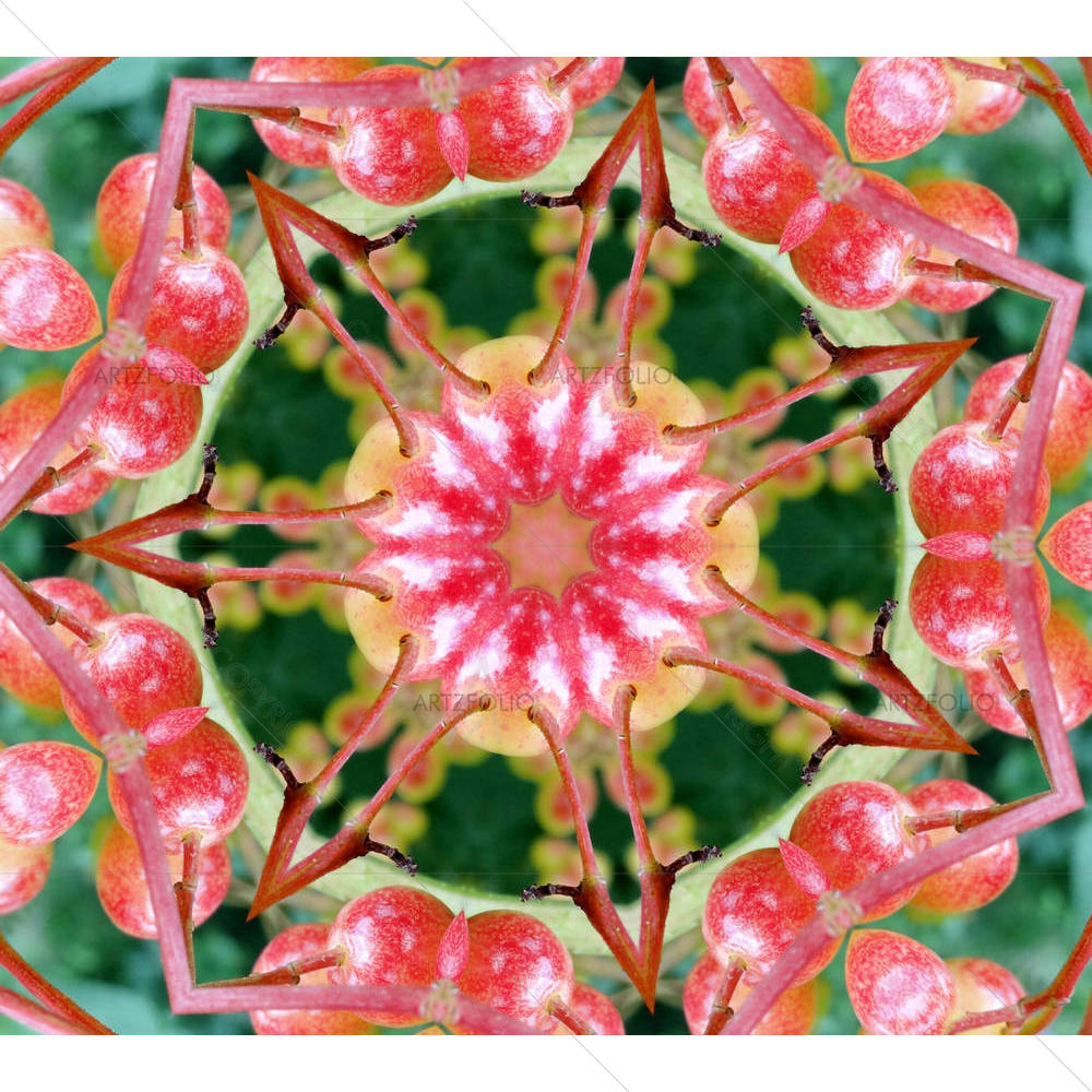 Red & Green Star — Devotional custom art by ArtzFolio