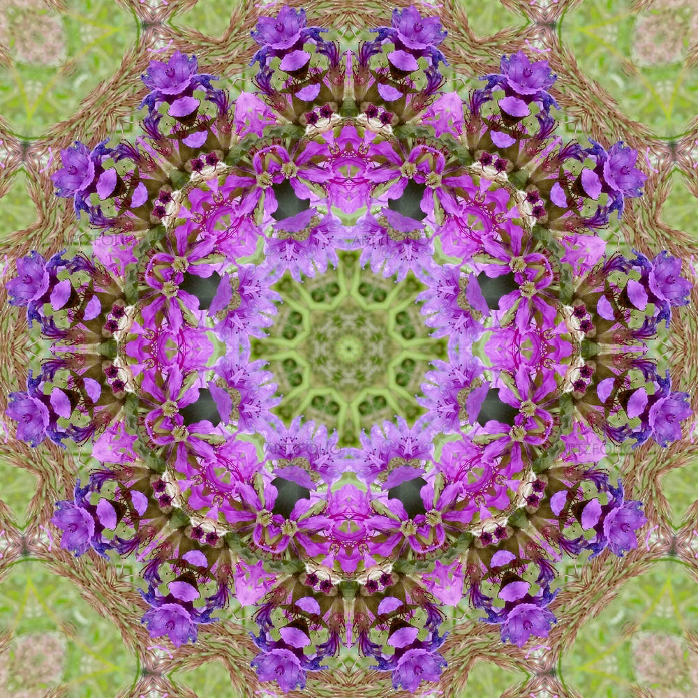 Purple Floral Mandala D1 — custom-size art design 5005752
