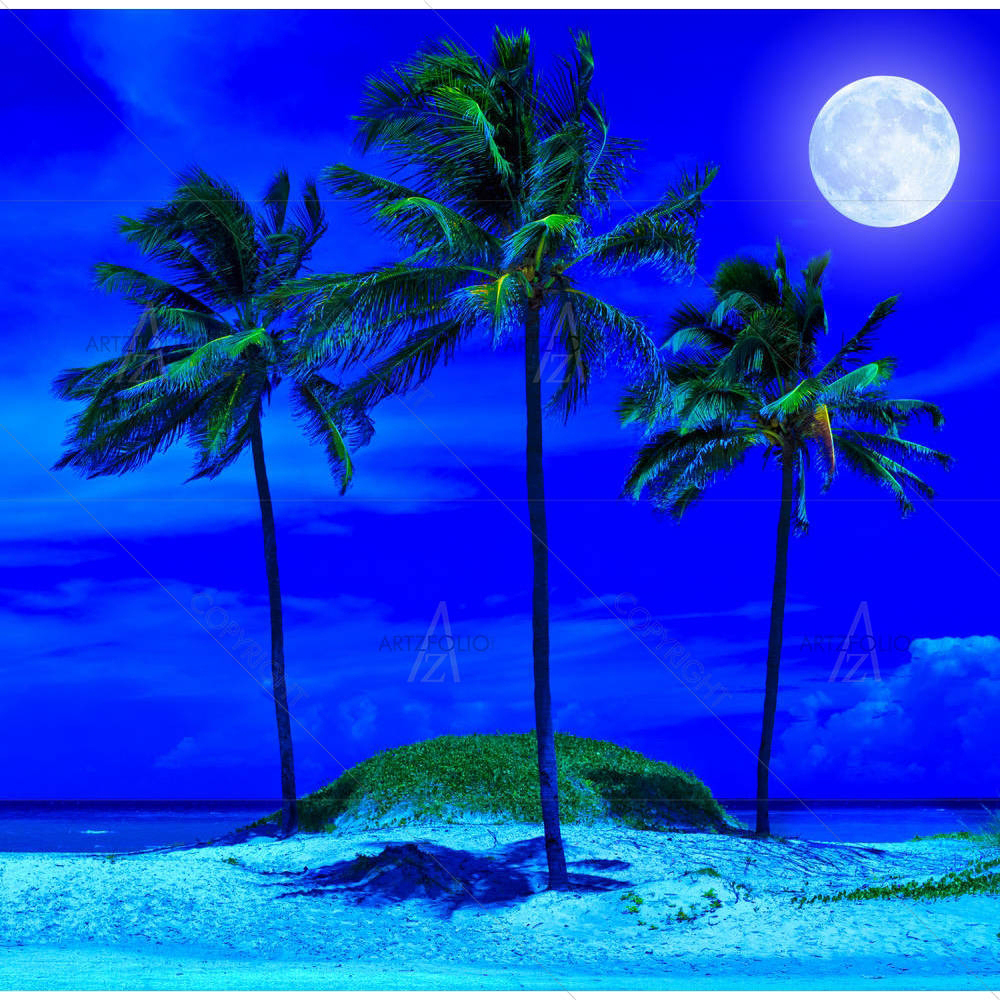 Tropical Beach At Night With Full Moon — Holidays custom art by ArtzFolio