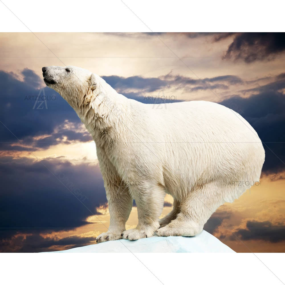 Polar Bear In Wildness Area — Animals custom art by ArtzFolio